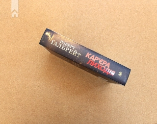 Кар’єра лиходія. Книга 3 - фото 5 Кар’єра лиходія. Книга 3 - фото 5