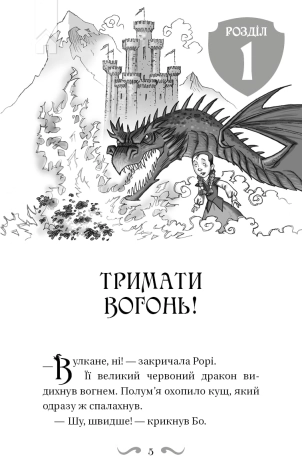 Володарі драконів. Сила вогняного дракона. Книга 4 - фото 2